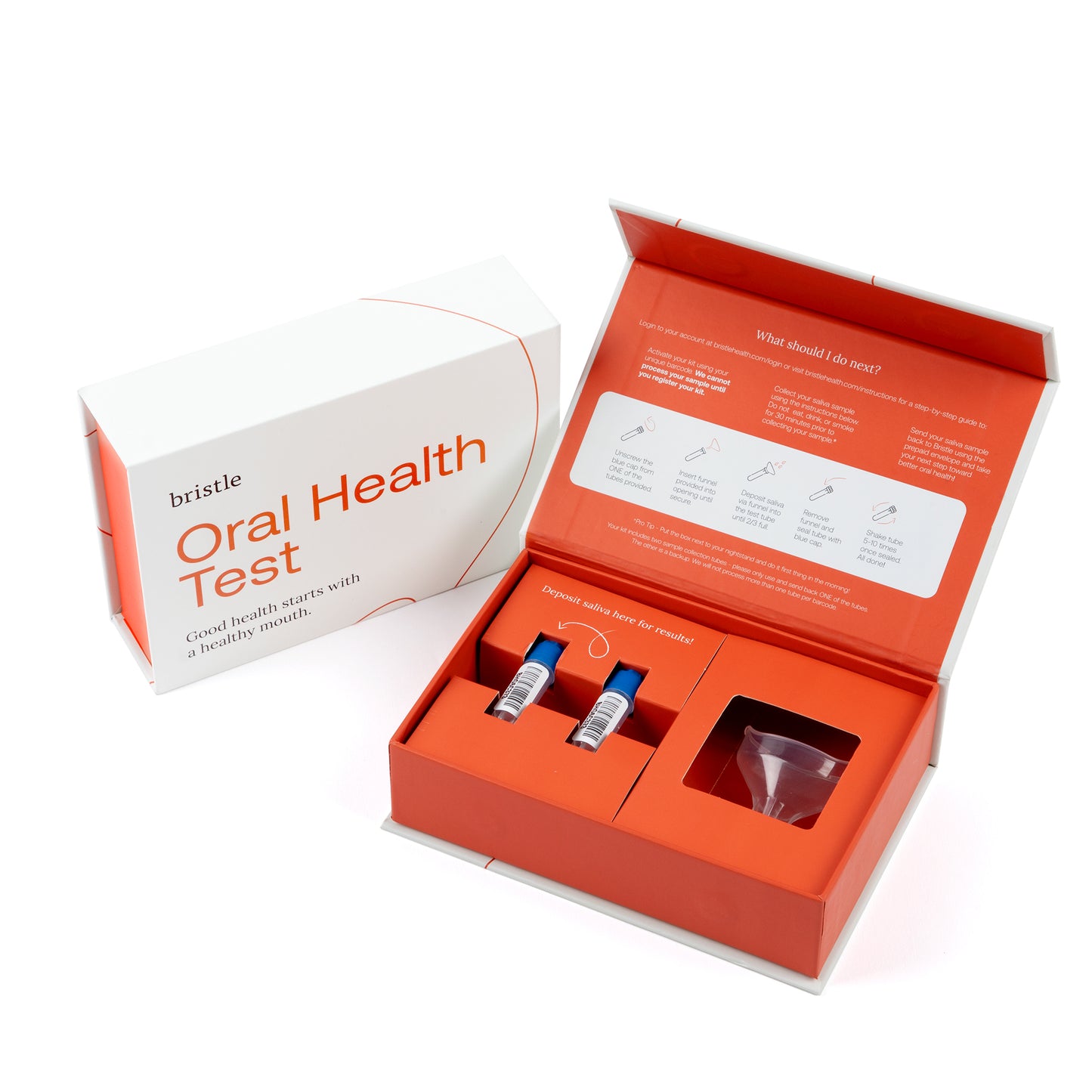 Bristle Oral Health Reset Program