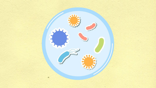 Microbe Monday: Treponema denticola