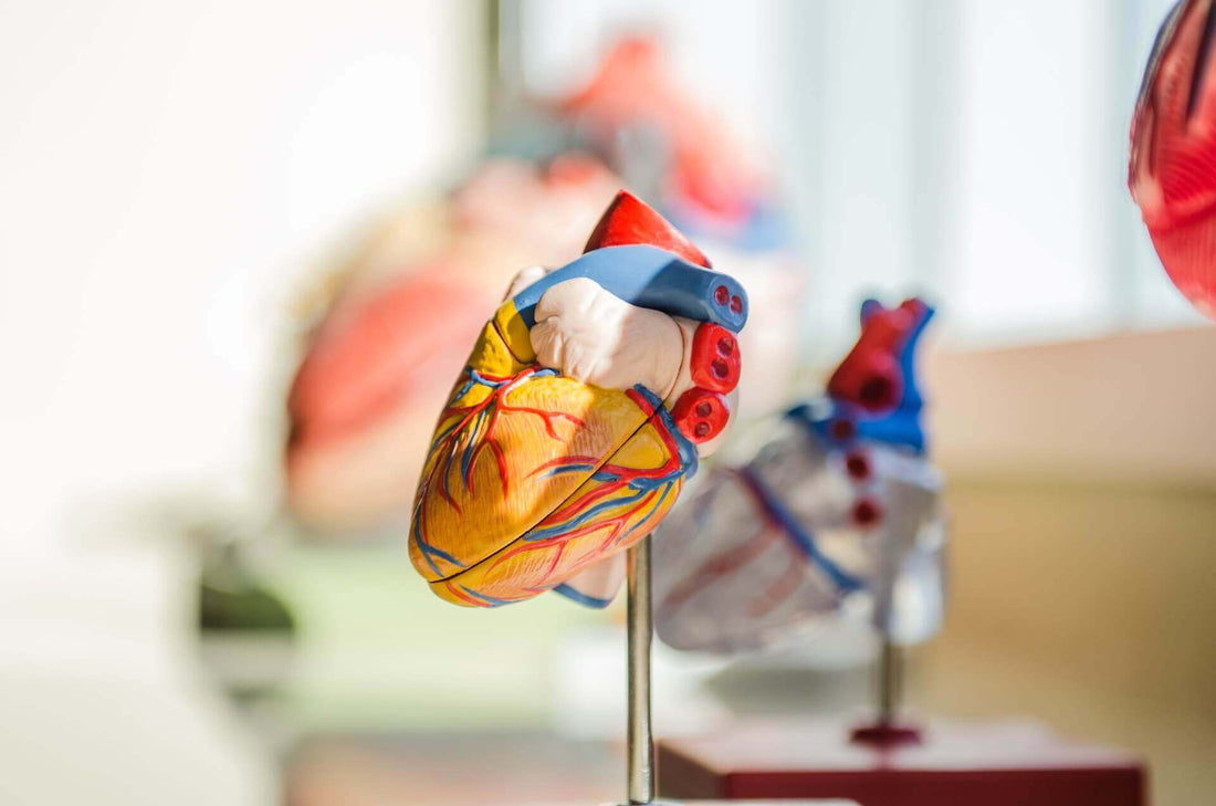 Oral Health and Heart Disease