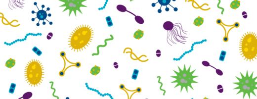 A layman's overview of microbiome testing methods