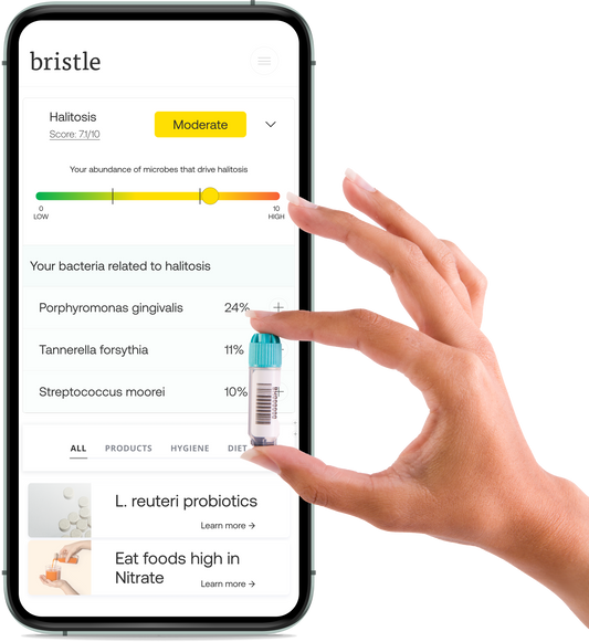 Bristle Oral Health Reset Program